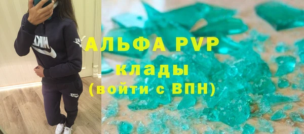 PSILOCYBIN Навашино
