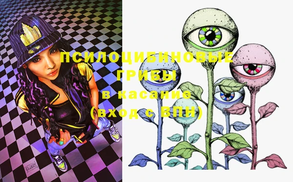 PSILOCYBIN Навашино