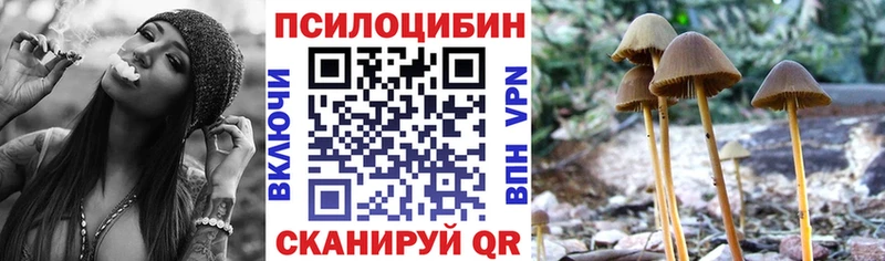 Галлюциногенные грибы мухоморы  omg сайт  Советская Гавань 